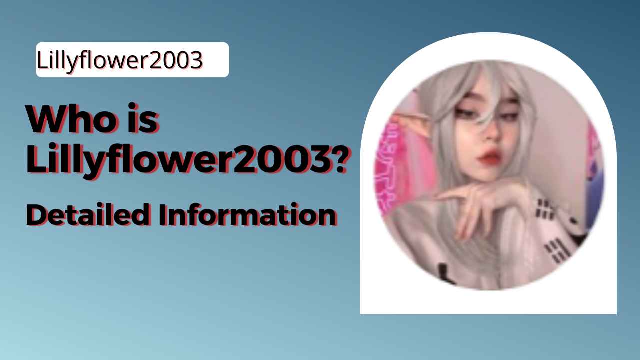 A Beginner's Guide to lillyflower2003