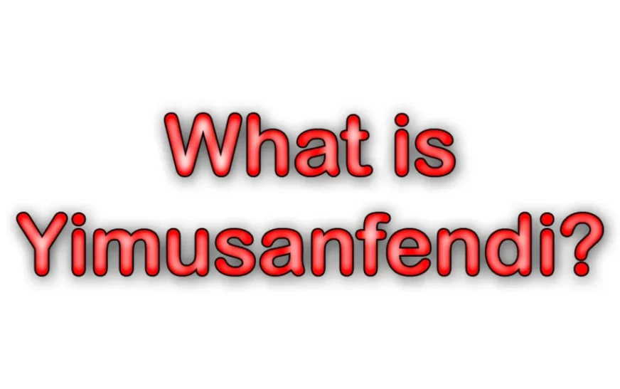 Exactly what does YIMUSANFENDI mean?
