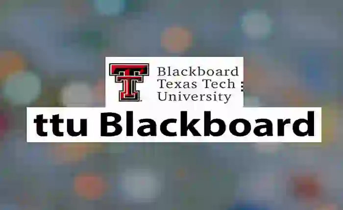 A Comprehensive Guide to the TTU Blackboard
