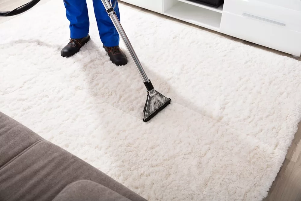 Benefits of Professional End of Lease Carpet Cleaning for Businesses